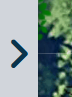 LfoChevron.PNG