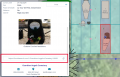 Burial Search showing the direct URL highlighted in red.png
